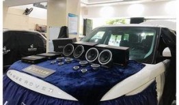 白鲨最新爆料新闻视频网